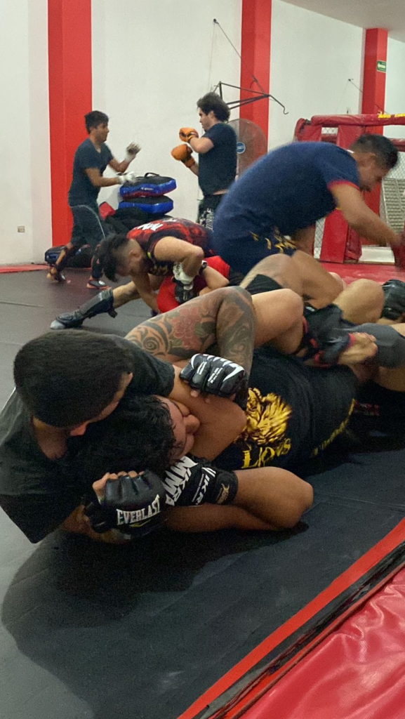 Lions Gym