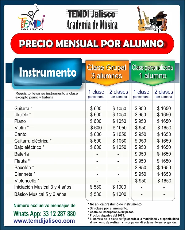 TEMDI Jalisco Academia de Música
