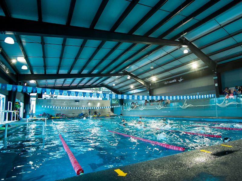 Alphacuatic Escuela de Natación