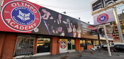 Olimpo Academy Martial Arts