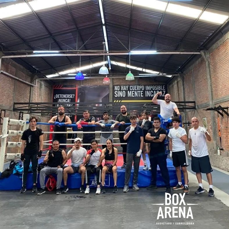 Box Arena