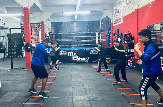 Mx Boxing Club